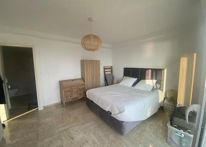 Primavera * Канны